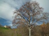 In Resegone il cielo è blu sopra le nuvole (sabato 6 novembre 2010) - FOTOGALLERY